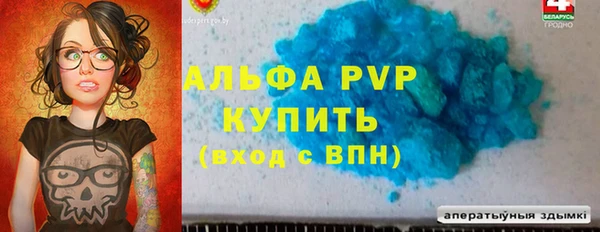 прущие грибы Абдулино